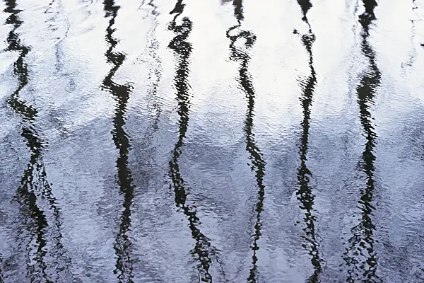 364003 - Reflets irréguliers dans une eau en léger mouvement