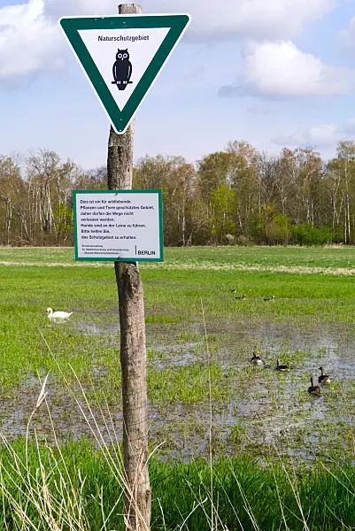 670027 - Réserve naturelle dans la forêt de Spandau, Berlin, Allemagne
