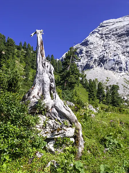 439356 - Réserve naturelle des montagnes de Wetterstein, Allemagne