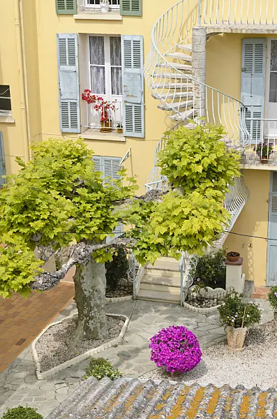 533107 - Residential building with backyard garden, Hyères, France