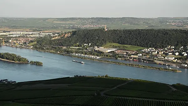 511179 - Rhine and Rüdesheimer Aue Nature Reserve near Rüdesheim am Rhein, Upper Middle Rhine Valley, Germany