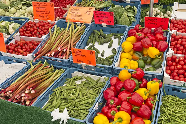 545108 - Rhubarbs (Rheum), peas (Pisum), cucumbers (Cucumis sativus) and sweet peppers (Capsicum)