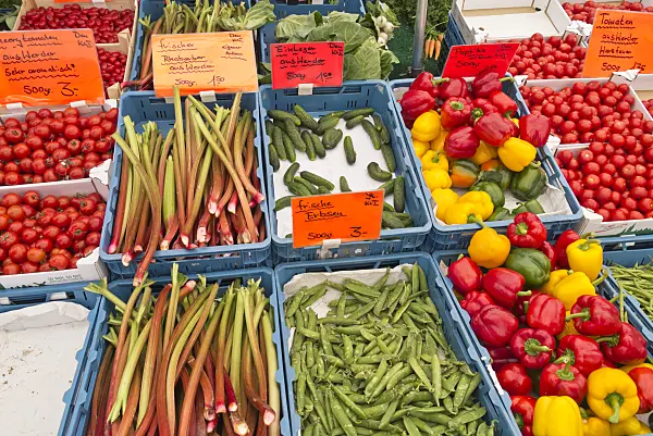 545109 - Rhubarbs (Rheum), peas (Pisum), cucumbers (Cucumis sativus) and sweet peppers (Capsicum)