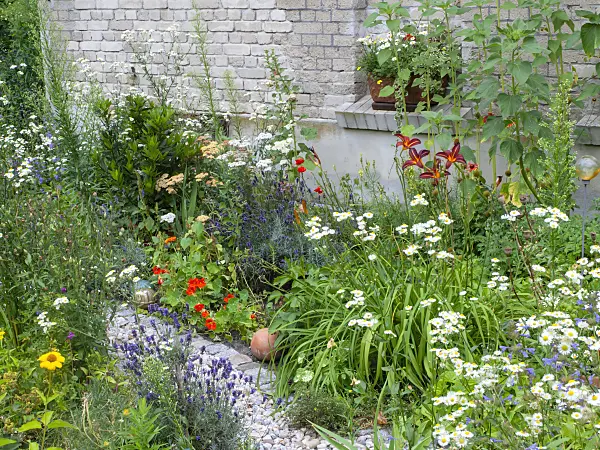 474286 - Rich flowering front garden