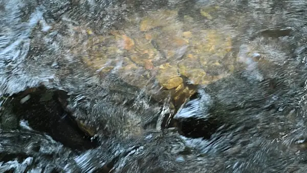 511224 - Rocks in a brook
