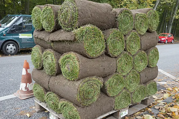 548127 - Rolled sods