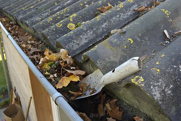 463086 - Roof gutter with leaves