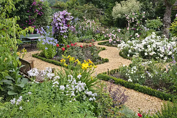 474091 - Rose garden
