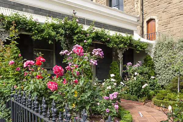 455211 - Rose garden, East Melbourne, Melbourne, Australia