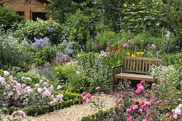 474153 - Rose garden with bench
