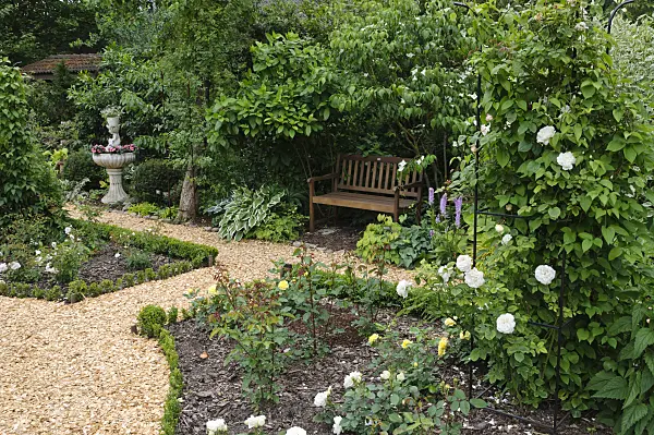 473092 - Rose garden with bench and fountain
