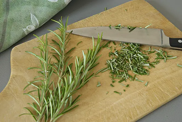 460013 - Rosemary (Rosmarinus officinalis)