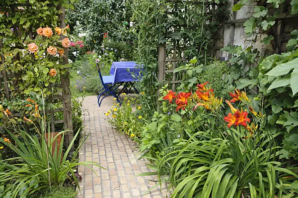 474367 - Roses (Rosa) and day lilies (Hemerocallis) in a backyard garden