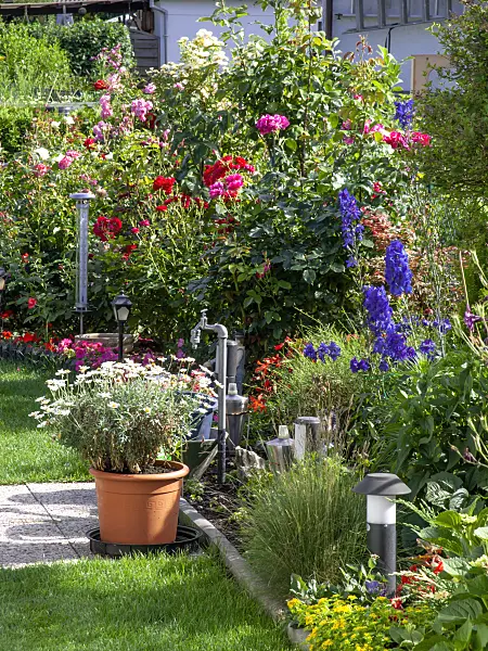 449031 - Roses (Rosa) and larkspurs (Delphinium)