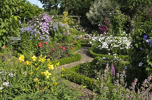 522050 - Roses (Rosa), clematis (Clematis) and day lilies (Hemerocallis)