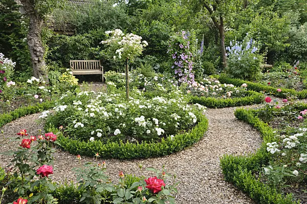 486031 - Roses (Rosa), clematis (Clematis) and larkspurs (Delphinium)