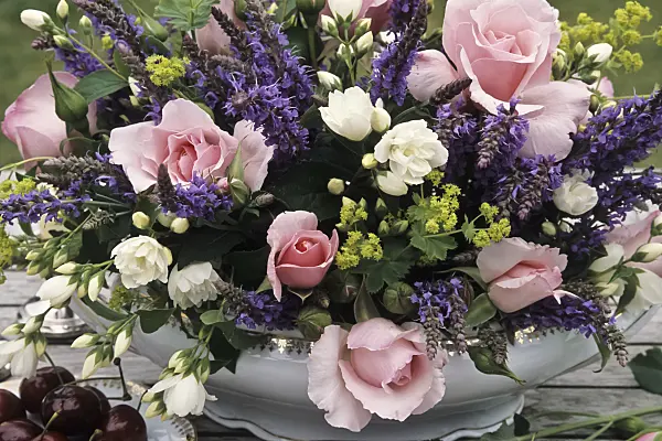 440217 - Roses (Rosa), woodland sage (Salvia nemorosa), lady's mantle (Alchemilla mollis) and sweet mock orange (Philadelphus coronarius)