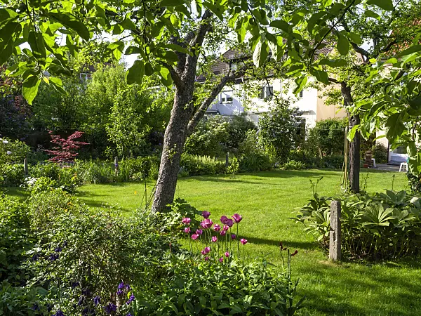 460101 - Row house garden with lawn and fruit trees
