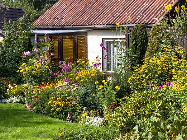 441010 - Rudbeckies (Rudbeckia fulgida), tagètes (Tagetes), Phlox et rosiers (Rosa)
