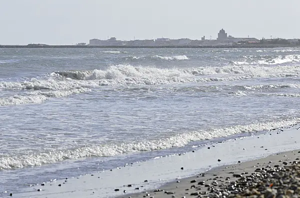 557269 - Saintes-Maries-de-la-Mer, Camargue, France
