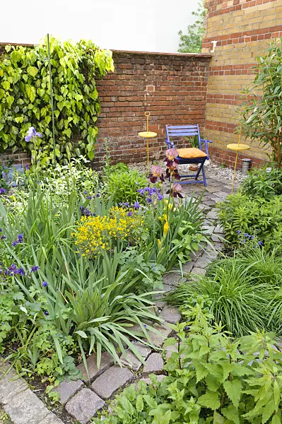 472216 - Salon de jardin dans un jardin de ville