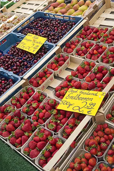 545152 - Sauerkirschen (Prunus cerasus) und Gartenerdbeeren (Fragaria x ananassa)