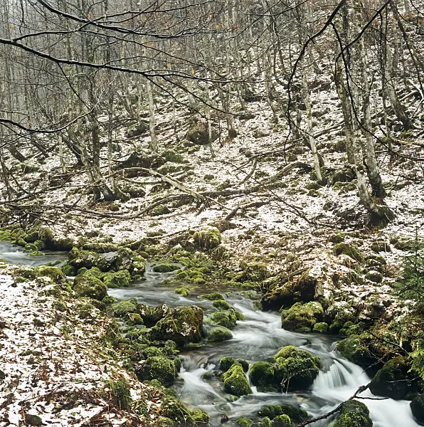 244016 - Schrainbach, parc national de Berchtesgaden, Allemagne