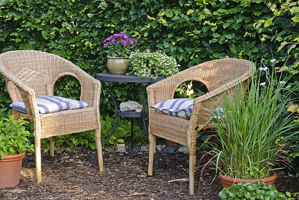 500219 - Seating area at a beech hedge