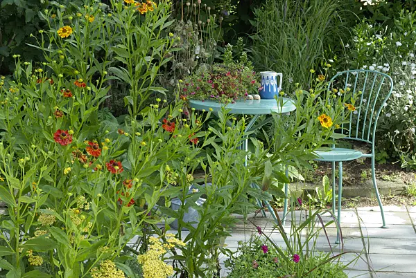 456027 - Seating area in a garden