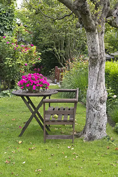 573044 - Seating area in a garden