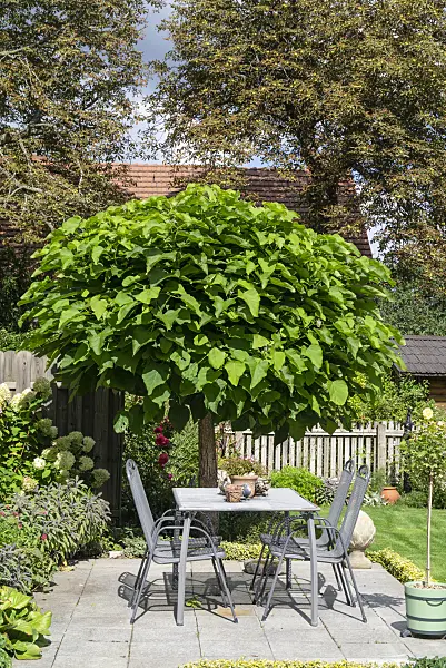625012 - Seating area in a garden