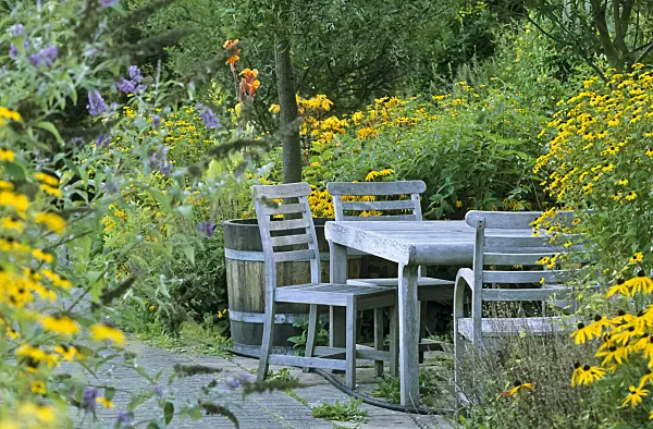 440179 - Seating area in a perennial garden
