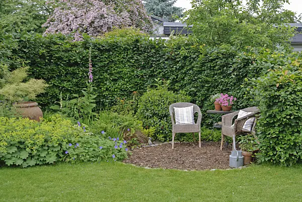 509164 - Seating area in a perennial garden