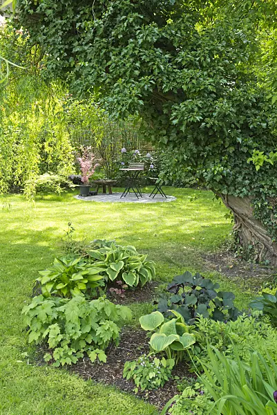 544151 - Seating area in a perennial garden