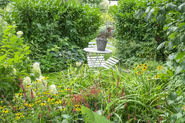 625006 - Seating area in a perennial garden