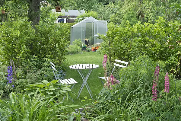 557029 - Seating area in an allotment garden