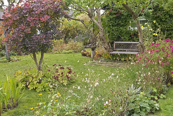 576007 - Seating area in an autumnal garden