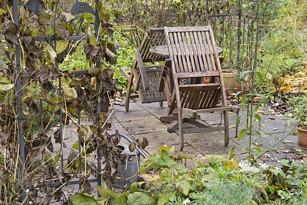 576022 - Seating area in an autumnal garden