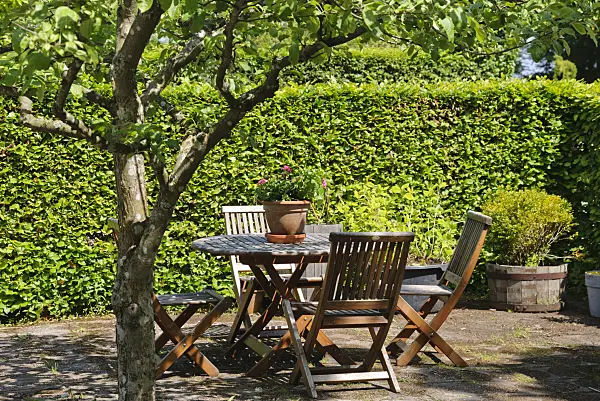 496190 - Seating area under an apple tree