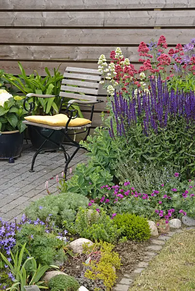 500183 - Seating area with ashy cranesbill (Geranium cinereum subsp. subcaulescens syn. Geranium subcaulescens), woodland sage (Salvia nemorosa) and red valerian (Centranthus ruber)