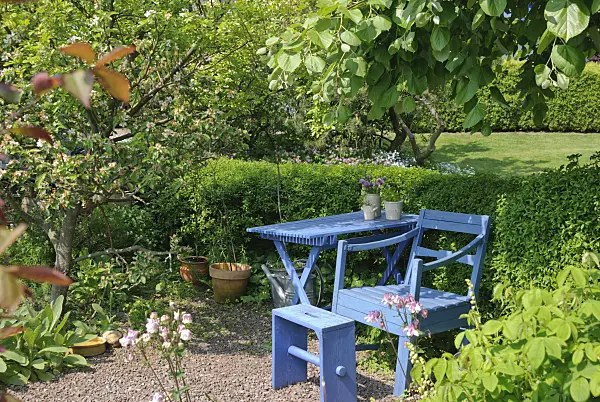 509154 - Seating area with blue chair