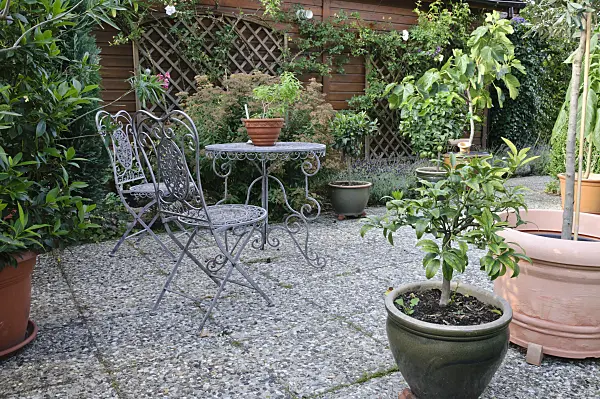 474442 - Seating area with potted plants