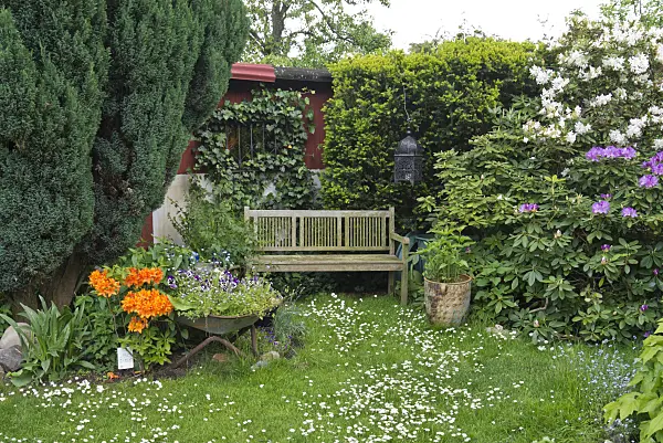 532022 - Seating area with rhododendrons (Rhododendron) and common daisy (Bellis perennis)