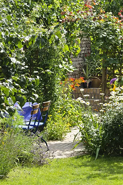 474356 - Seating area with rose arch in a backyard garden