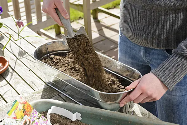 525478 - Seed tape in a flower box (1)