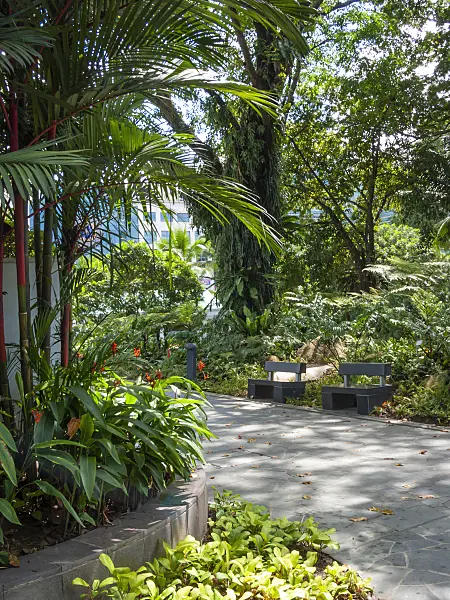 411096 - Shady path with benches in a tropical park