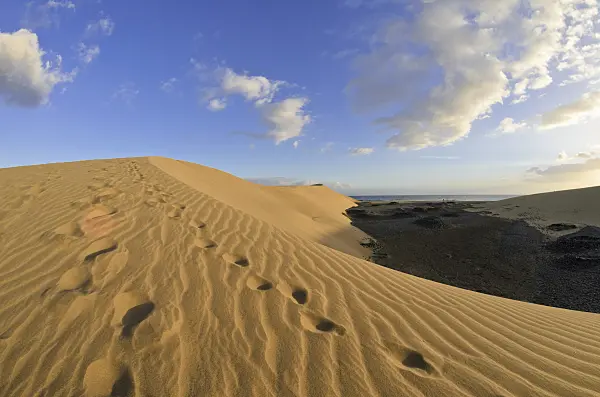 564232 - Shifting sand dunes in the evening, Maspalomas, Gran Canaria, Spain