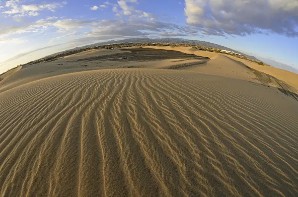 564233 - Shifting sand dunes in the evening, Maspalomas, Gran Canaria, Spain