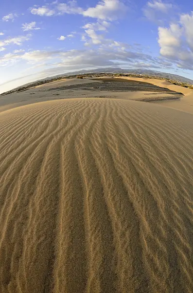 564234 - Shifting sand dunes in the evening, Maspalomas, Gran Canaria, Spain