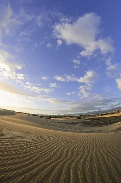 564235 - Shifting sand dunes in the evening, Maspalomas, Gran Canaria, Spain
